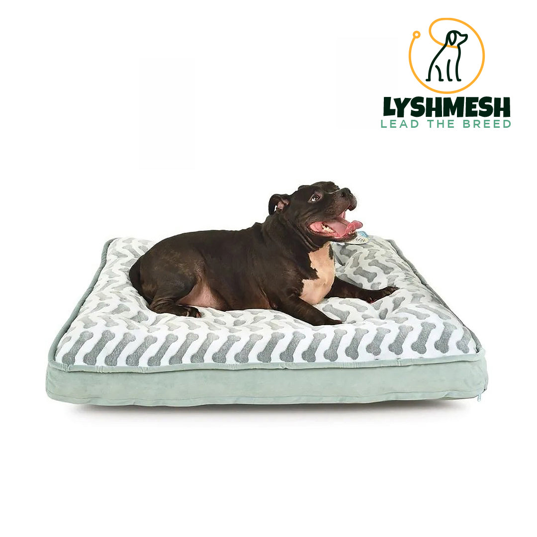 Lyshmesh - Queen-Size Waterproof Bella Orthopedic Mattress Bed
