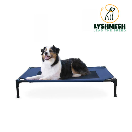 Lyshmesh - Dog Bed, Large, Navy Blue
