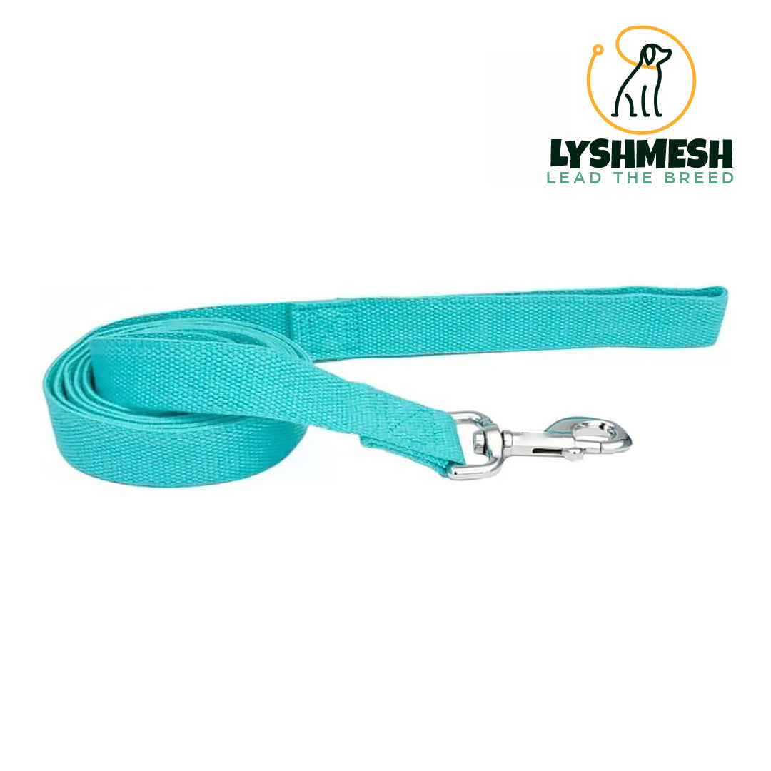 Lyshmesh - Dog Lead Mint Green - 6 feet x 5/8"W